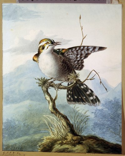 Little Bird by Georgius Jacobus Johannes van Os