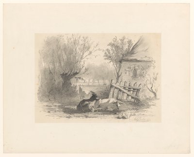 Two Goats and a Sheep by a Fence in Front of a House by Gerard Bilders