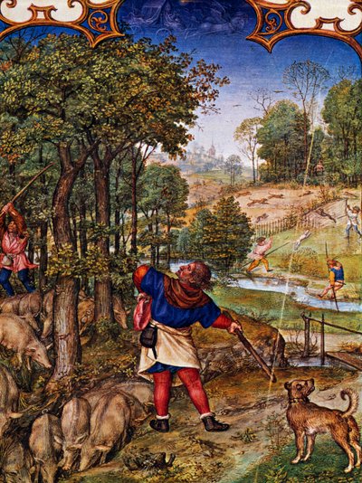 Month of November, Gathering Acorns and Hare Hunting, Miniature from Grimani Breviary, with Miniature by Gerard Horenbout, Alexander and Simon Bening, Netherlands by Gerard Horenbout
