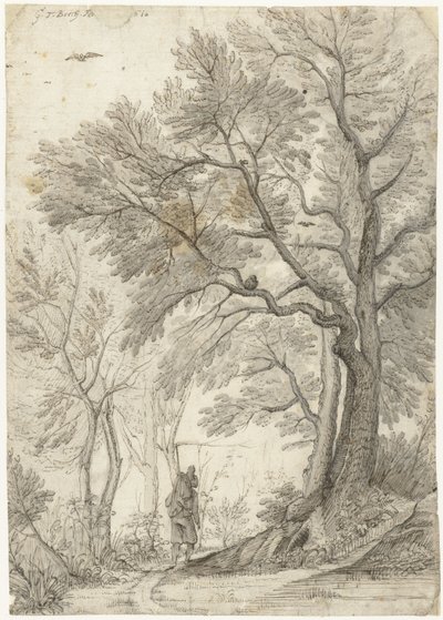 Forest of the Villa Madama outside Rome by Gerard ter Borch
