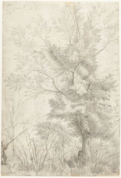 Forest of the Villa Madama Outside Rome, with a Hunter Shooting by Gerard ter Borch