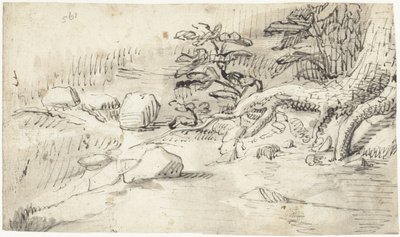 Study of Tree Roots by a Stream by Gerard ter Borch (I)
