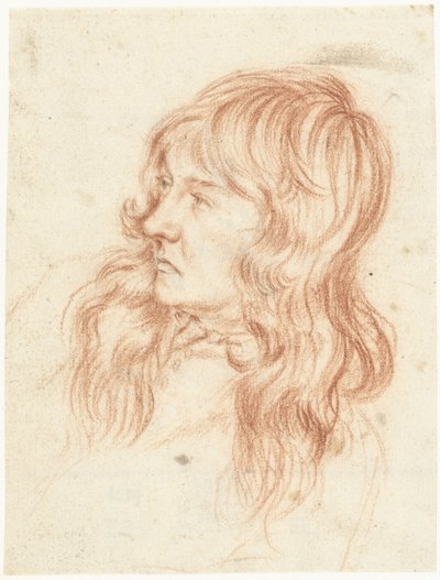 Head of a Young Man Facing Left by Gerard ter Borch (II)