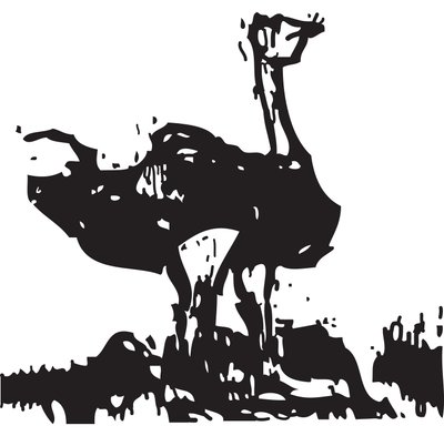 Ostrich by Gerhardt Isringhaus