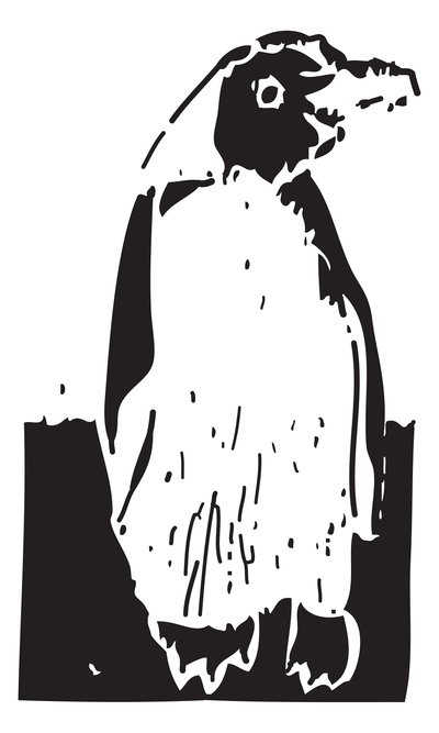 Penguin by Gerhardt Isringhaus