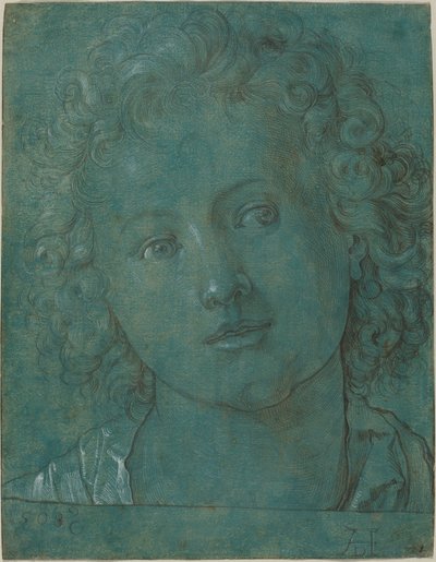 Head of a Boy by German 16th Century after Albrecht Dürer