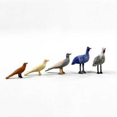 5 birds from a Noah