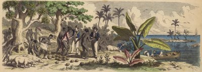 A Pacific Island by German School