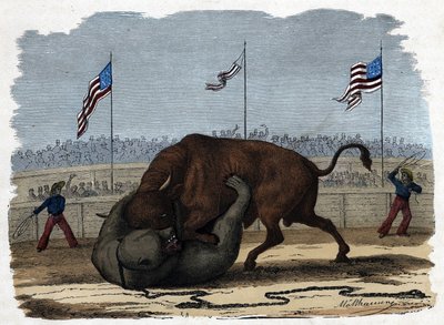 A fierce fight between a bull and a bear in an arena. In 