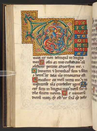 Add. 60629, f.43v Large framed initials in gold and colours with foliate and sometimes zoomorphic and anthropomorphic ornament by German School