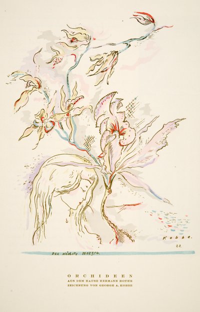 Advertisement Orchideen aus dem Hause Hermann Roth from Styl, pub. 1922 by German School