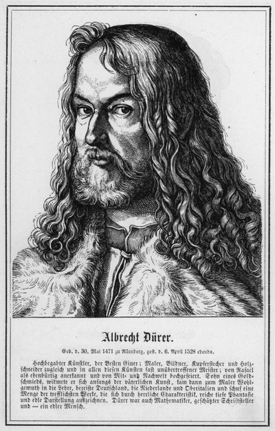 Albrecht Durer by German School