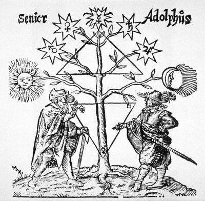 Alchemical Tree, Diagrammatic and Emblematic, from Museum Hermeticum by Thomas Norton, illustrated in a history of magic published late 19th century by German School
