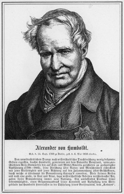 Alexander von Humboldt (engraving) by German School