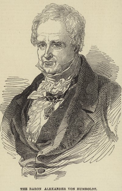 Alexander von Humboldt by German School