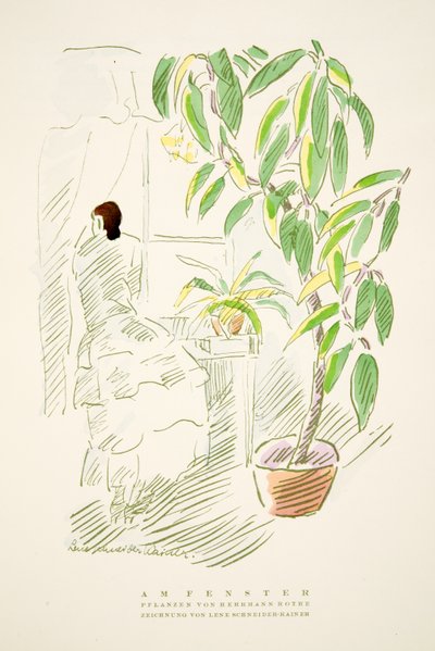 Am Fenster, plants by Hermann Rothe, from Styl, pub.1922 by German School