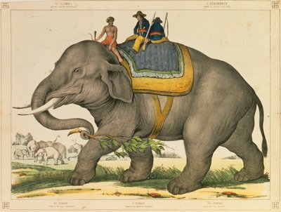 An Elephant Used to Hunt Its Own, Pictorial Broadsheet Published by Joseph Scholz, Mainz, c.1860 by German School