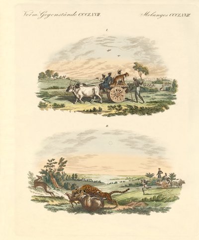 Antelopes Hunting with Leopards by German School