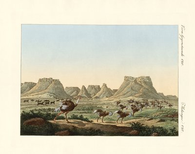 Area in South Africa at the Forland of Good Hope by German School