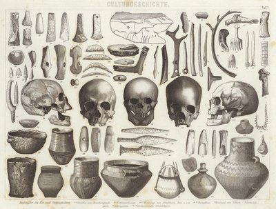Artefacts from the Ice and Stone Ages (engraving) by German School