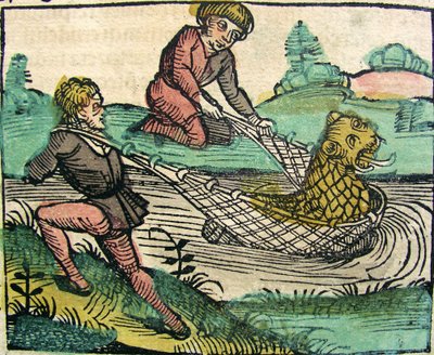 Catching a Lion Catfish Monster by German School