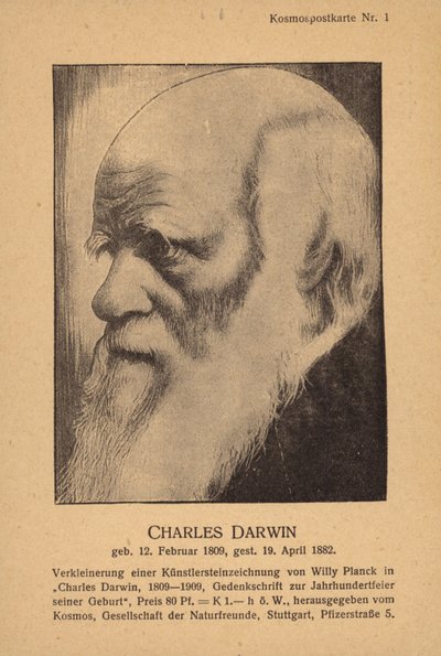 Charles Darwin (1809-1882) by German School
