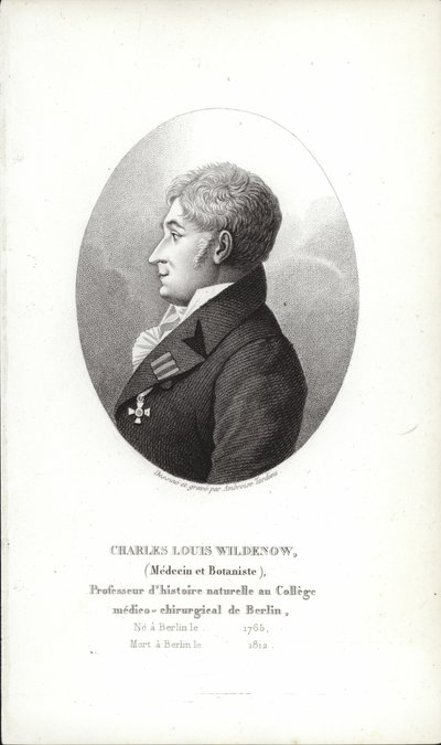 Charles Louis Wildenow by German School