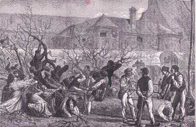 Cutting down trees round Paris for firewood by German School