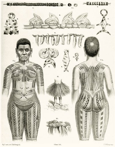 Diagram showing Polynesian Jewelry, ornaments and tattoo designs, 1888 by German School