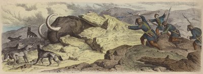 Discovery of the Body of a Woolly Mammoth in Siberia by German School