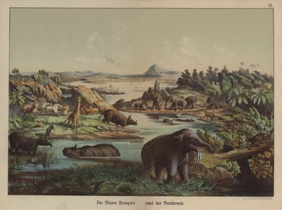European animals of the Tertiary Period by German School