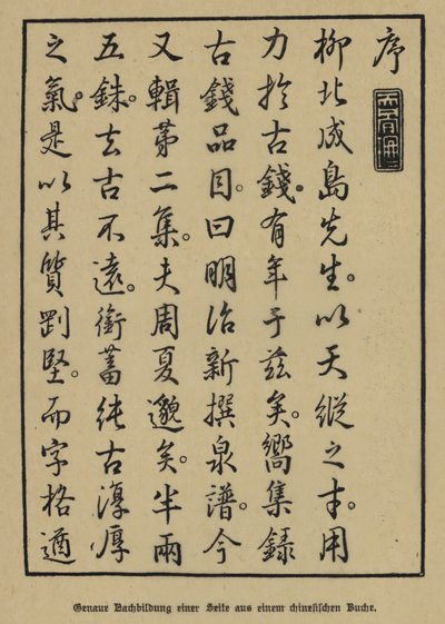 Exact Copy of a Page from a Chinese Book by German School