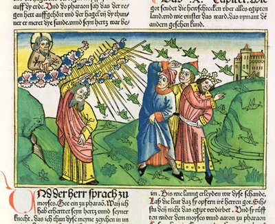 Exodus 10:1-20 The Seven Plagues of Egypt: the plague of locusts, from the Nuremberg Bible by German School