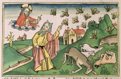 Exodus 8 20-32 The Seven Plagues of Egypt: Moses and the swarm of flies, from the 