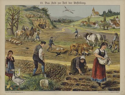 Farming by German School