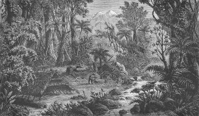 Forest Scene in Further India by German School