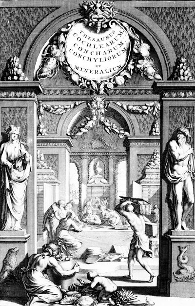 Frontispiece to Thesaurus Imaginum Piscium Testaceorum by Georg Eberhard Rumphius, edition published in 1739 by German School