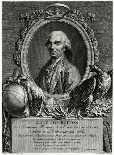 George Louis Leclerc Count of Buffon by German School