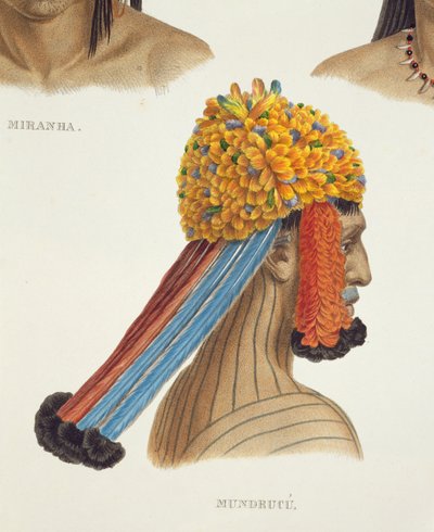 Head of a Man from the Mundrucu Tribe, from Travels in Brazil (detail) by German School