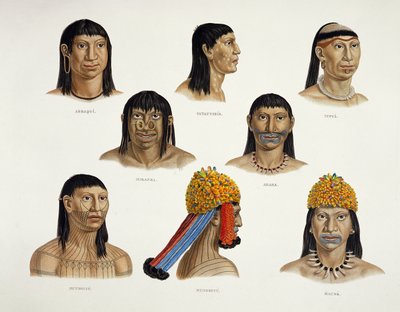 Heads of South American Indians, from Travels in Brazil by German School