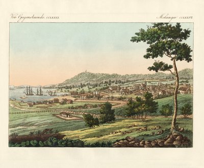 Hobart Town at Van Diemens Land by German School