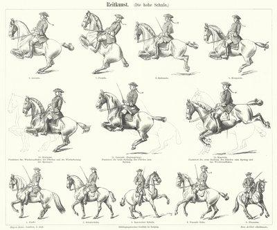 Horsemanship by German School
