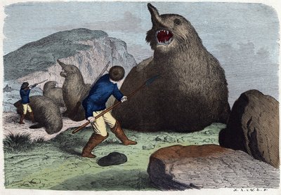 Hunters Fighting Sea Elephants. In 