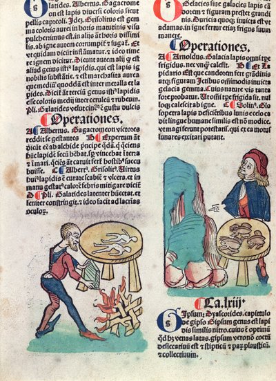 Illustrated page from Hortus Sanitatis, 1491 by German School