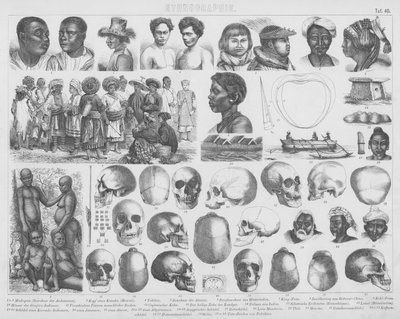 Illustration for Bilder-Atlas: Races and Skulls by German School