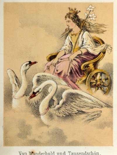 Illustration of Franz Hoffmann
