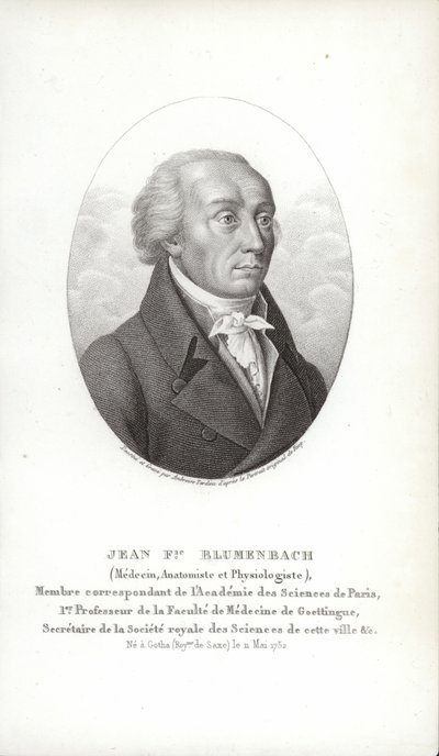 Johann Friedrich Blumenbach by German School