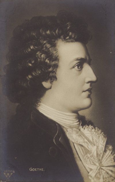 Johann Wolfgang von Goethe (1749-1832) by German School
