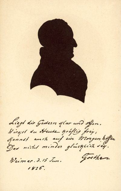 Johann Wolfgang von Goethe by German School