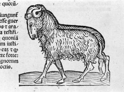 Aquarius - in Treatise by Johannes Angeli De Magnisconnectionibue Annorum Revolutionibus ac Eorum Perfectionibus. Augsburg, Erhard Ratdolt by German School